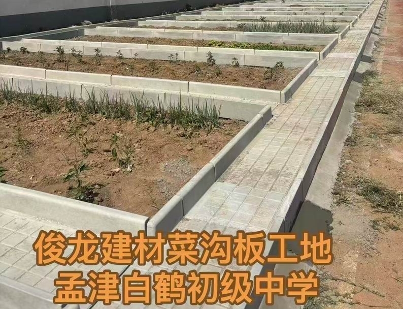 孟津白鶴初級中學(xué)