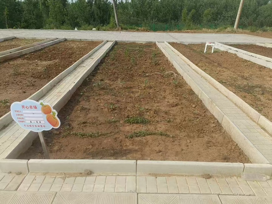 伊川野狐嶺共享菜園