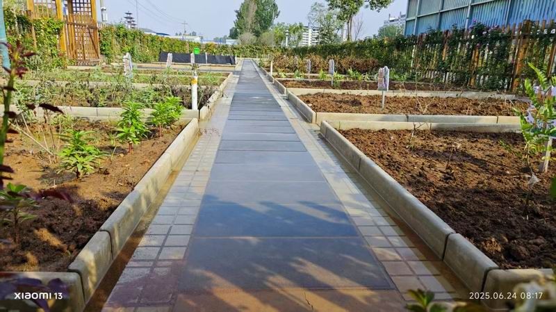 嵩縣中心小學(xué)研學(xué)基地